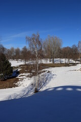 Spring in the estate Tsaritsyno