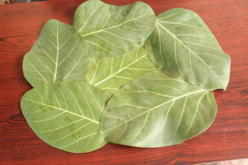 Butea Monosperma Leaves Isolated  on wood background