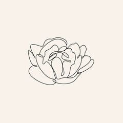 Line Art flowers plants. Botanical poster. Contemporary one-line art, aesthetic contour. Ideal for home decor, wall art posters or t-shirt printing, mobile case. Continuous drawing o