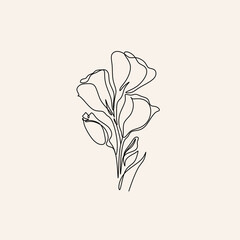 Line Art flowers plants. Botanical poster. Contemporary one-line art, aesthetic contour. Ideal for home decor, wall art posters or t-shirt printing, mobile case. Continuous drawing o