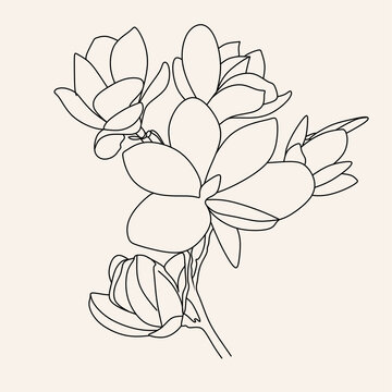 Line Art flowers plants. Botanical poster. Contemporary one-line art, aesthetic contour. Ideal for home decor, wall art posters or t-shirt printing, mobile case. Continuous drawing o