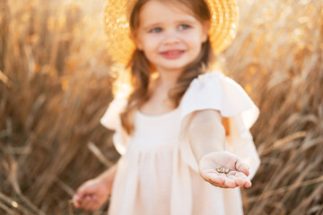 little blonde girl in beige muslin dress holds wheat grains in the palm of her hand in wheat field on sunset