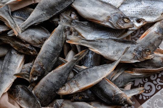 1,003 Stockfish Stock Photos, High-Res Pictures, and Images