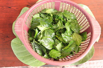 Red Hibiscus Leaves on a Wood background