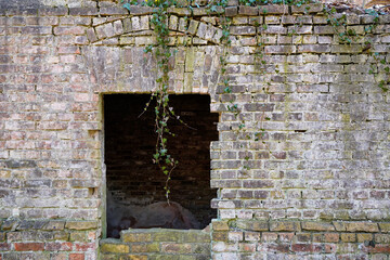 alte verfallene Ruine einer Villa