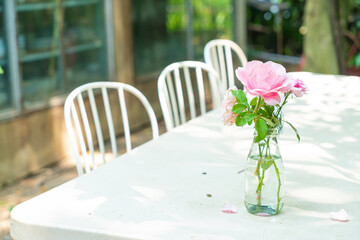 beautiful flower in vase decorated on table