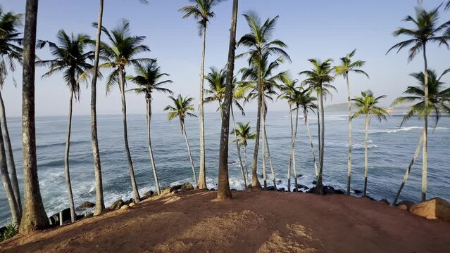 Paradise tropical ocean shore with palm trees and sea breeze. Sunny vacation by the ocean. 60 fps
