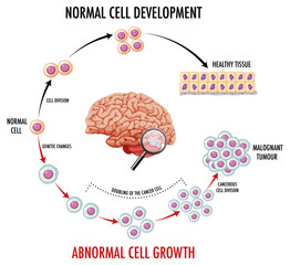 Diagram showing normal cell development