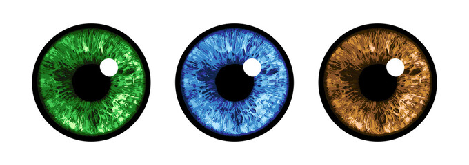 Eye Set - Vector Illustration - 497717667