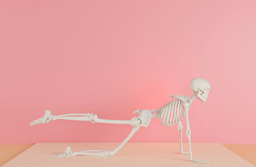 Skeletons in yoga poses for mental conditioning