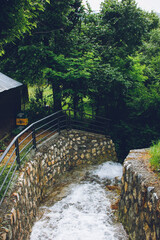 wooden bridge in the forest