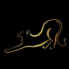 lazy cat stretching and waking up ,Golden brush stroke painting over black background