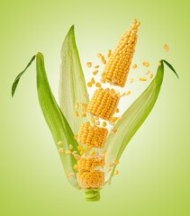 Broken corn cob with flying grains and leaves on green background. Design element for product...