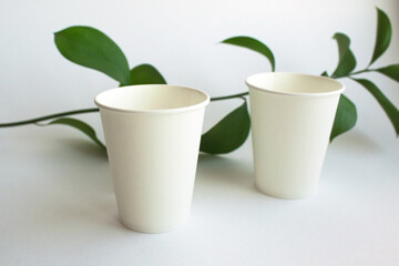 A white paper cups and a plant. Eco concept. Coffee cup and tea cup template.	