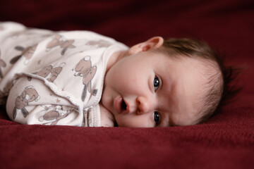 A newborn baby of less than a week in a pink jumpsuit sleeps on a white plaid. Cute Little...