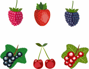 colorful set of garden berries