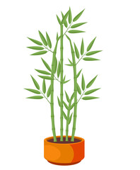 Vector Illustration of isolated bamboo in pot on white background. For flower shop banner, poster. Elements for design house, room or office interior. Bamboo lucky plant in pot, Chinese tree sprouts