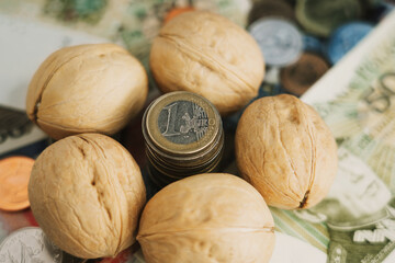 a stack of coins with a euro coin at the very top surrounded by shelled walnuts and money from different countries in the background