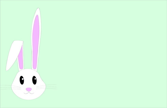 Bunny rabbit banner vector