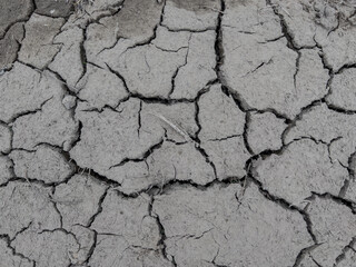 A fragment of the muddy surface of the earth cracked by drought