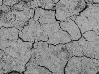 A fragment of the muddy surface of the earth cracked by drought