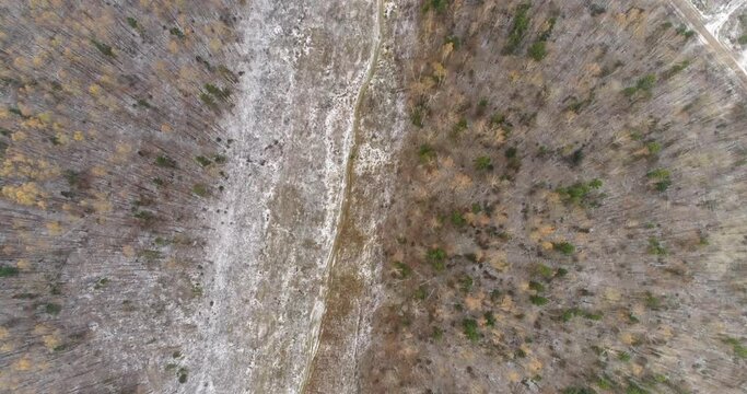 Road along the Bald Forest. Mariel.  Aerial View. Quadrotor Filming
