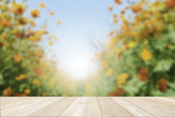 Empty top wooden table on soft focus blurred cosmos flowers field on blue sky