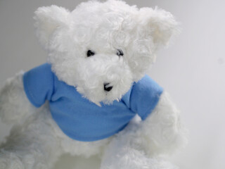 White bear fluffy hair doll wearing blue t-shirt on white background.