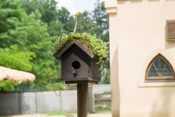 wooden bird house