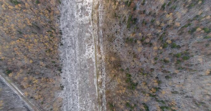 Colorful Snowy Woods Riding three Quad Bike. Mariel.  Aerial View. Quadrotor Filming
