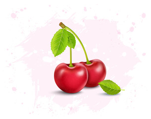 Fototapeta na wymiar Cherry fruit vector illustration with green leaves