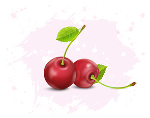 Fototapeta na wymiar Set of two Cherry fruit vector illustrations on white background