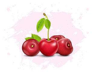 Fototapeta na wymiar Cherrie fruits vector illustration with green leaves