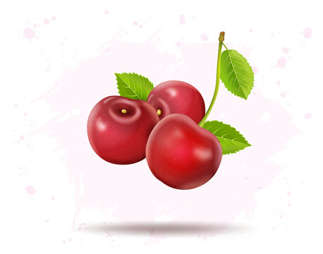 Set of three cherries fruit vector illustration with green leaves on white background