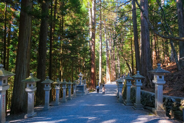 埼玉県秩父市 三峯神社 参道