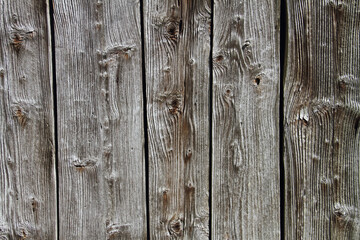 Fototapeta premium Bretterwand