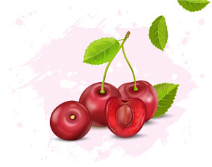 Fototapeta na wymiar Cherries fruit vector illustration with green leaves 