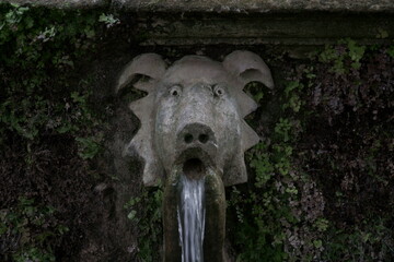 Fototapeta na wymiar fountain in the garden