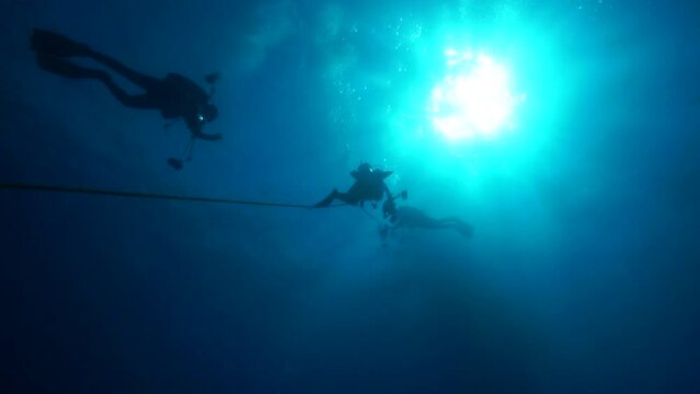 Image of divers swimming towards the surface as a team.