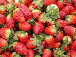 fruta verdura limon coliflor berenjena naranja fresa pimiento zanahoria platano banana lima