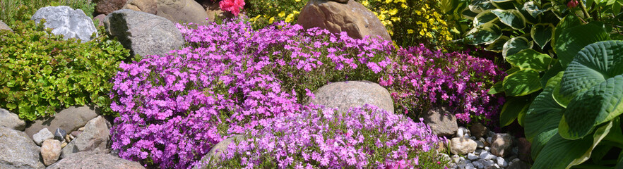 Obraz premium Garten 1282