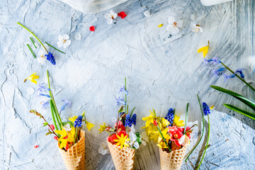 bouquet of bright spring flowers in a waffle cup, background, flat view, space for text,