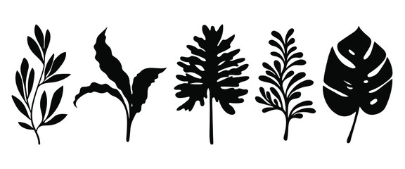 Set of leaves silhouette of beautiful plants, leaves, plant design. Vector illustration 15.	