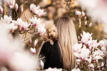 Blonde Frau von hinten mit Pudel auf dem Arm unter Magnolienbaum