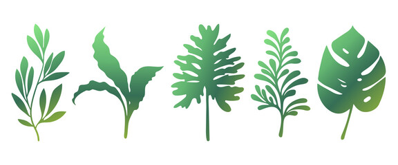 Set of green leaves silhouette of beautiful plants, leaves, plant design. Vector illustration 15.	