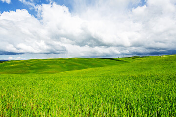 green field and blue sky with rainy clouds