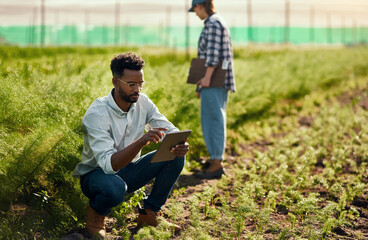 Theyve both got a job to do. Full length shot of a handsome young male farmer using a tablet while working on his farm with a female colleague in the background.