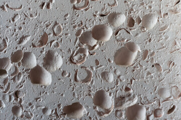 Textured wall lined with shell rock tiles.