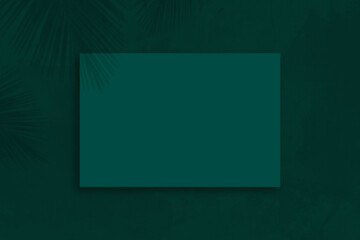 Top view blank green business card mockup with leaf shadows overlays on dark green background.