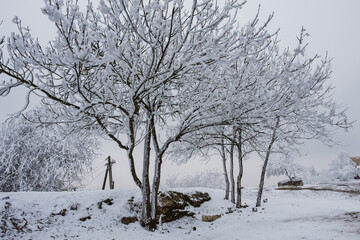 Winter landscape of Pyatigorsk, Northern Caucasus, Russia